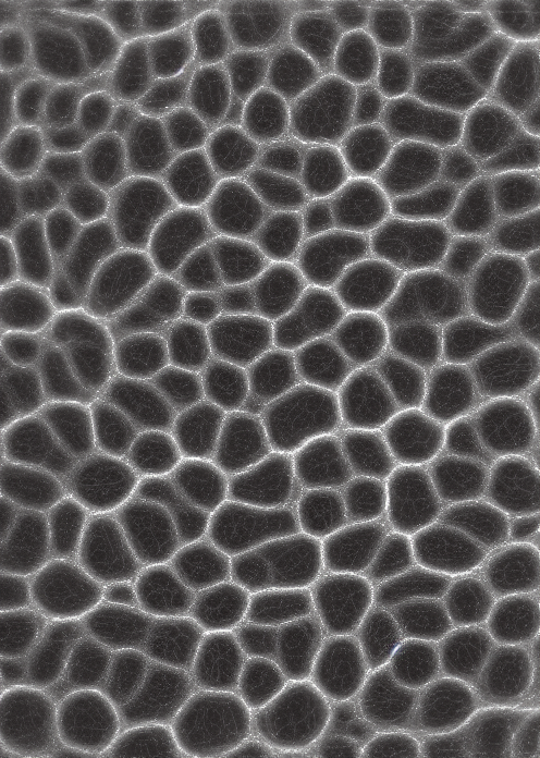 00026-4102247884