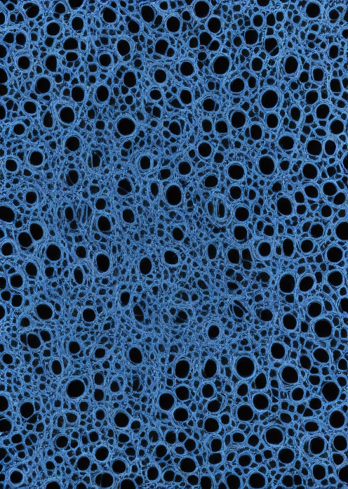 00038-4102247896