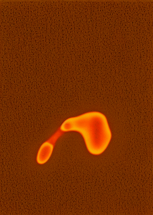 00042-4102247900